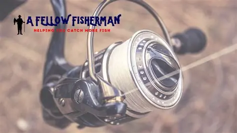 Fast cash-out internet casino in Canada